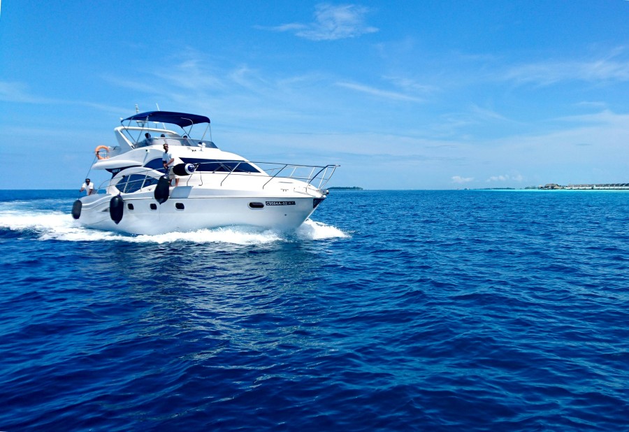 Premium boat